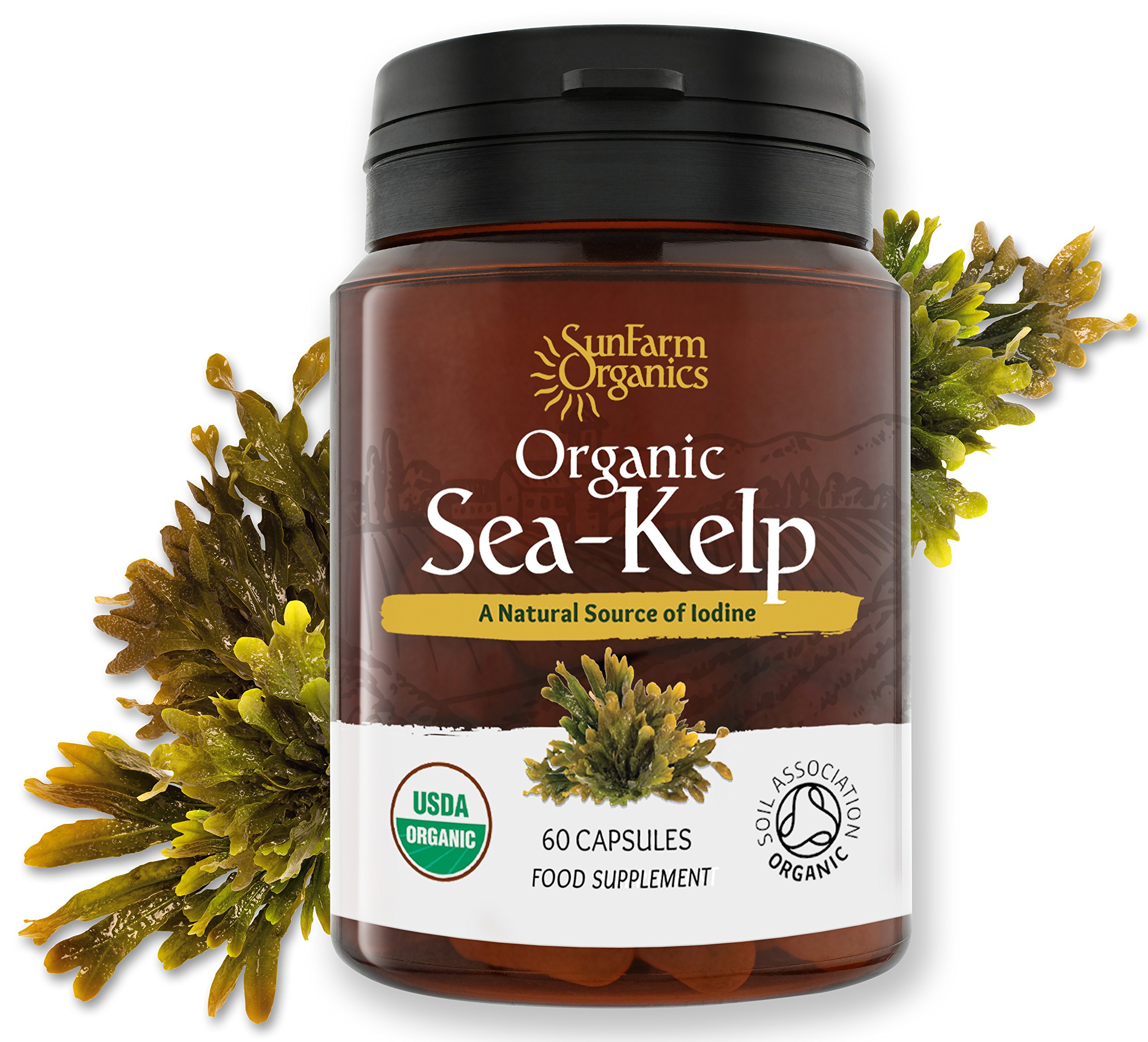 Certified Organic Iodine from 500mg Kelp Giving 385mcg Iodine per