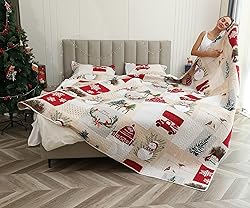 Christmas Quilt Set Twin Size Xmas Red Beige Plaid
