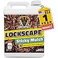 Lockscape Sticky Mulch Glue for Landscaping (1 Gallon) - Lasts Up to 2 Years, Non-Toxic, Ultra Concentrated Landscape Binder - Strong Mulch and Rock Glue for Landscaping Pea Gravel, Pine Straw & More