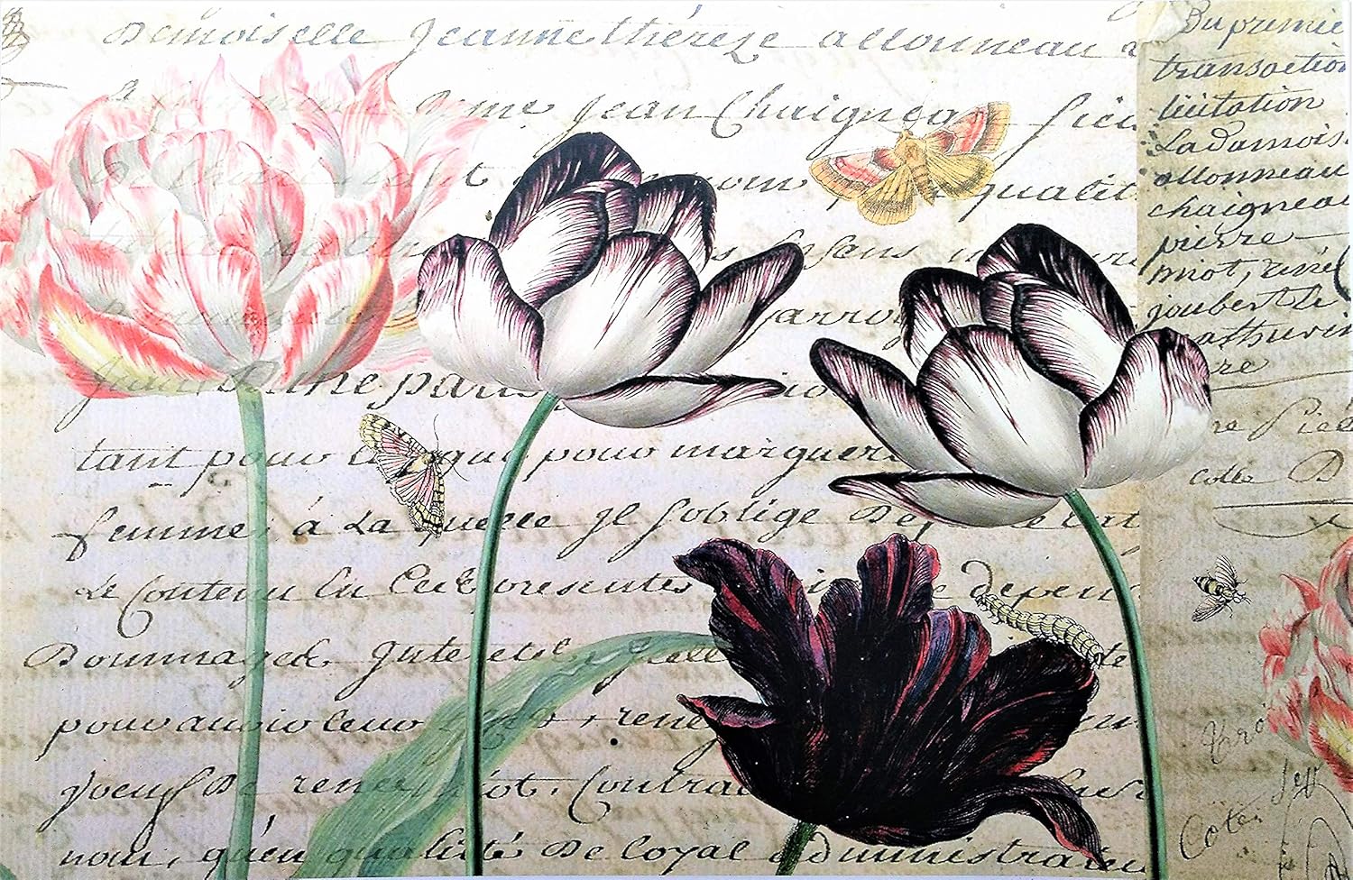 Monahan Papers 50 French Country Disposable Floral Paper