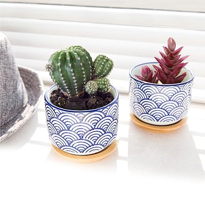3 inch Japanese Style Wave Ceramic Pots 3 inch Japanese Style Wave Ceramic Pots
