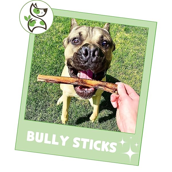 NATURE GNAWS BULLY STICKS FOR DOGS 5-6″ (8OZ) – MIXED THICKNESS – LONG LASTING FOR AGGRESSIVE CHEWERS AND LARGE DOGS – NATURAL BEEF DOG CHEW BONES