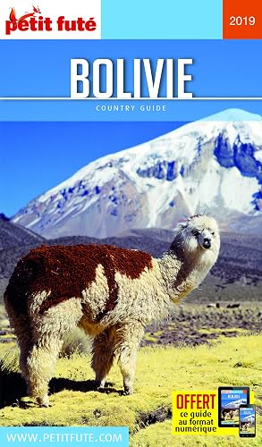 Download Petit Futé Bolivie PDF