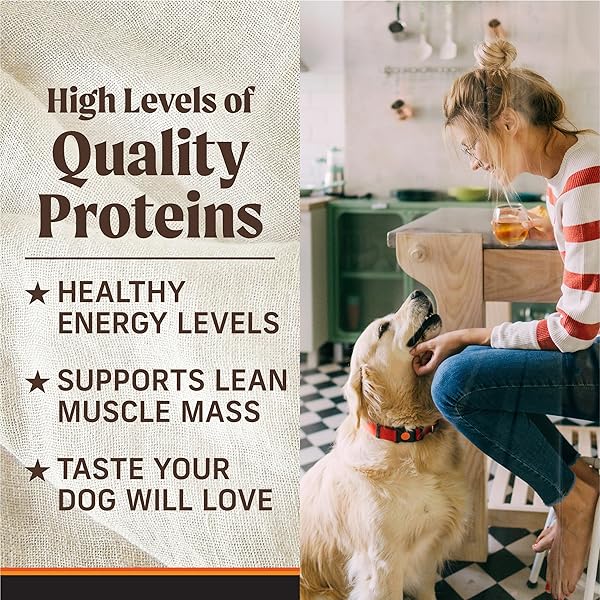 MERRICK GRAIN FREE PREMIUM AND NATURAL CANNED DOG FOOD, SOFT AND HEALTHY, REAL BEEF AND CHICKEN VARIETY PACK – (PACK OF 12) 9.5 LB. CANS