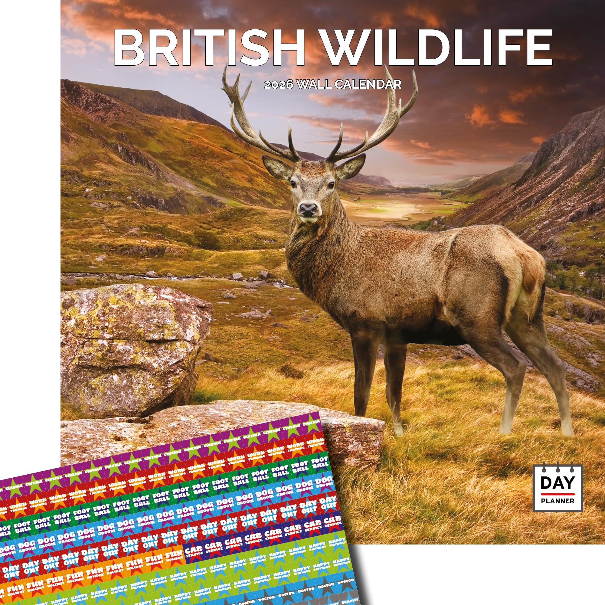 Dayplanner Publishing British Wildlife Calendar 2026, Large Square Wall Calendar With Organisational Stickers, 16 Month, British Wildlife Gift Calendar