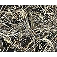 Realtree Max-5 | Canvas Tough Duck 600D Fabric | Hunting Camo Water-Resistant Outdoor Fabric | 58" Wide | 1 yd