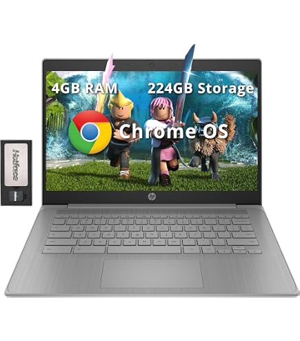 Asus Chromebook C223NA-DH02 11.6