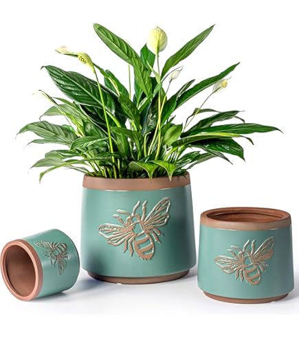 YBX Pot De Fleurs 20,3 Cm + 15,2 Cm Avec Trous De Drainage Pots Blancs
