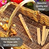 Muldale Garden Dibber Tool Beechwood Steel Seed Planter 20cm Planting Bulb Hole view 4