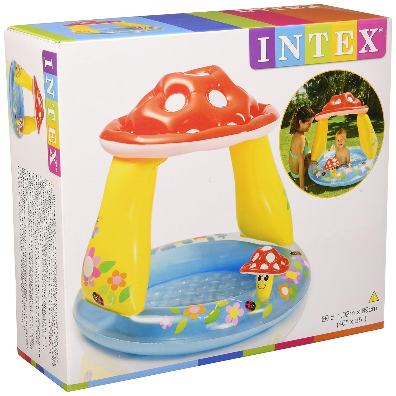 piscine intex champignon