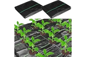 codree 2 Pcs Garden Weed Barrier Landscape Fabric- 13 x 4 Ft Heavy-Duty Garden Weed Control Barrier with Planting Holes- Weed Block Gardening Mat with 12 Ground Nails for Outdoor Garden