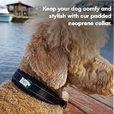 Black Rhino Heavy-Duty Adjustable Reflective Waterproof Dog Collar Pink Black view 2
