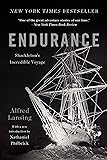 Endurance: Shackleton's Incredible Voyage