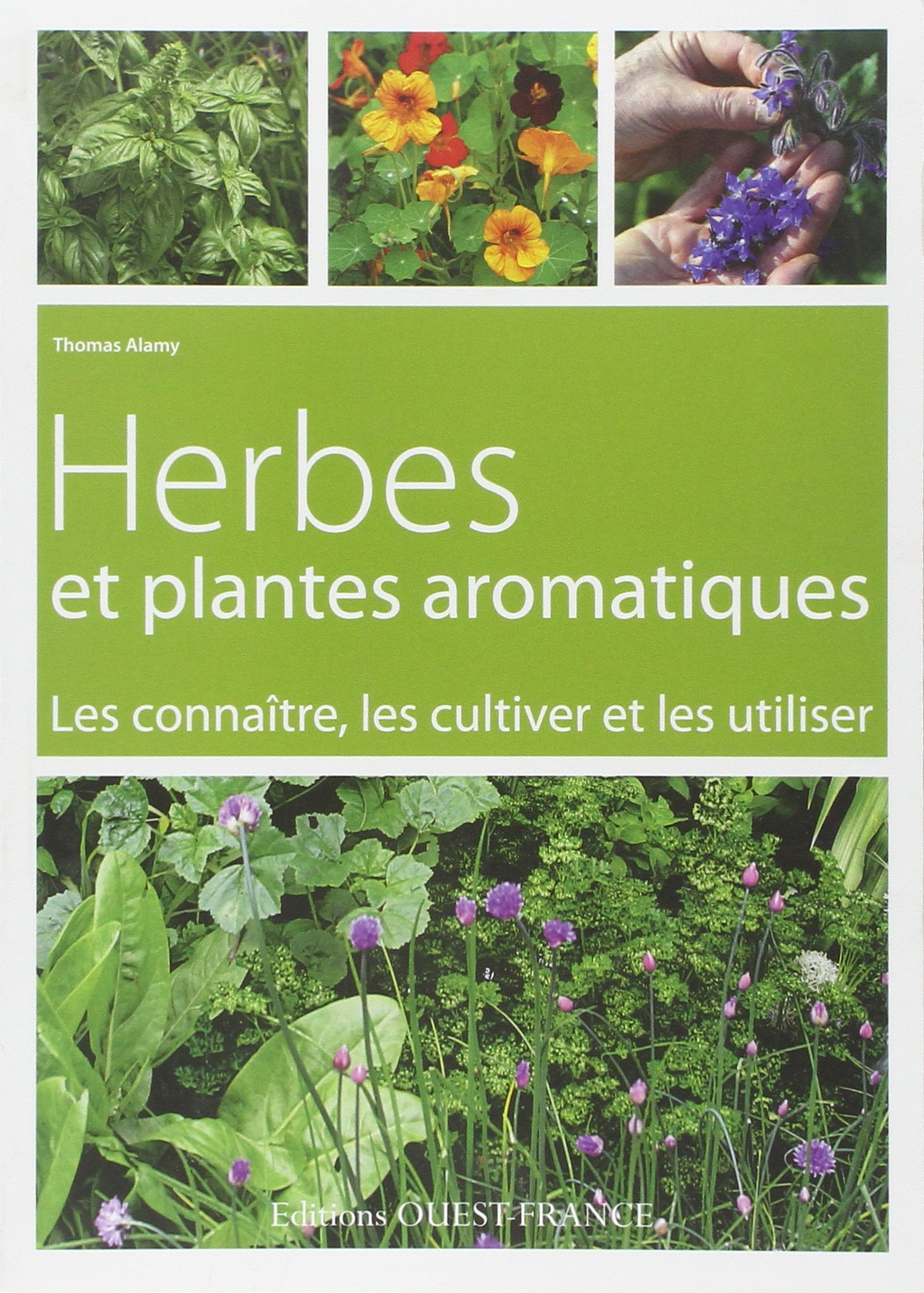 Herbes Et Plantes Aromatiques Amazonca Thomas Alamy Books - 