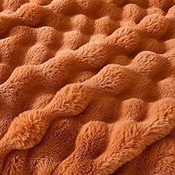 Serenhom 60x80 Inches Ultra-Soft Fuzzy Faux Fur