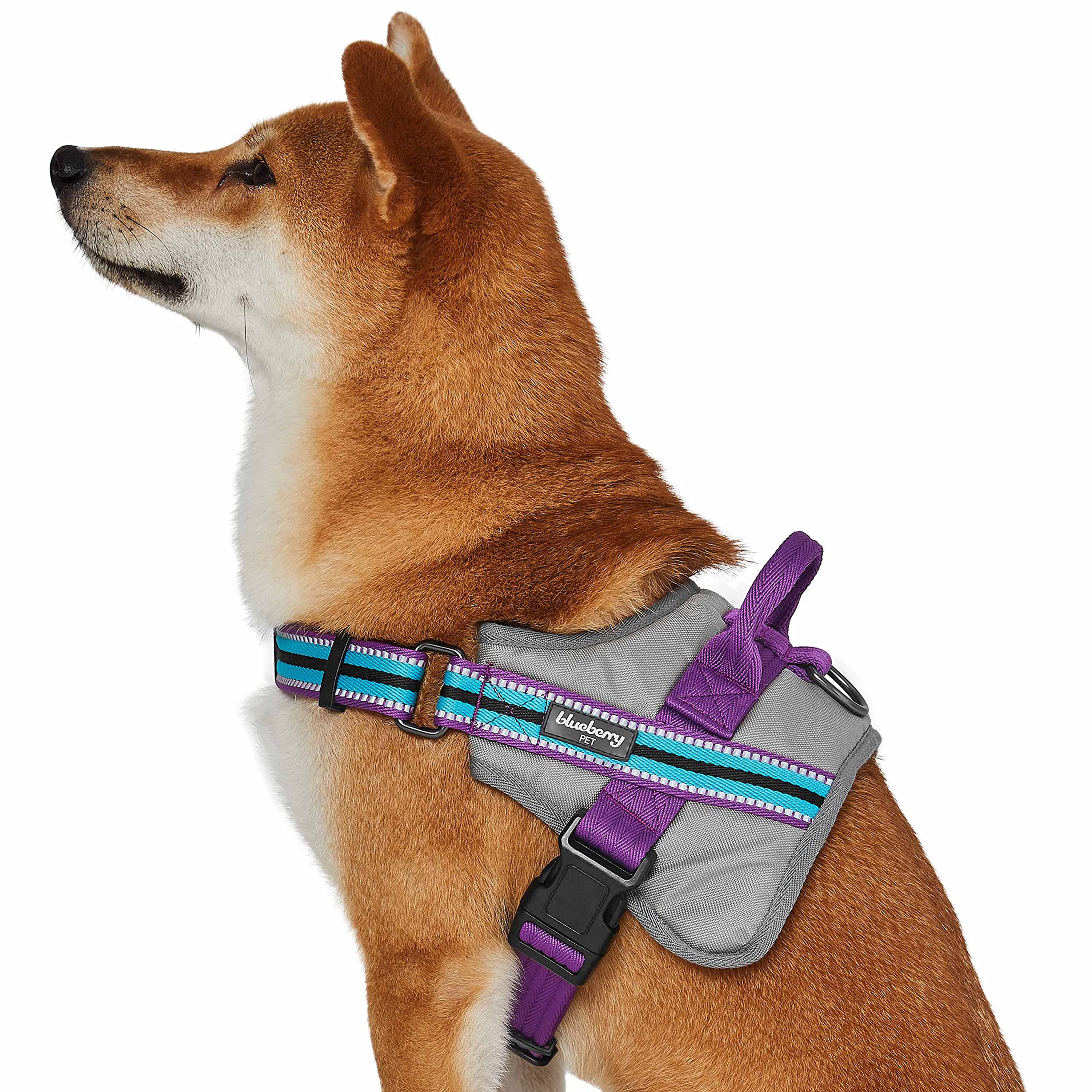 Blueberry Pet Comfy 3M Reflective Multi-colored Stripe Mesh Padded Service Dog Harness, Medium, Violet & Celeste, Adjustable Harnesses for Dogs