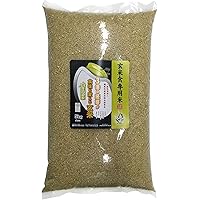 玄米食用 PREMIUM 玄米 金のいぶき 5kg 令和元年産