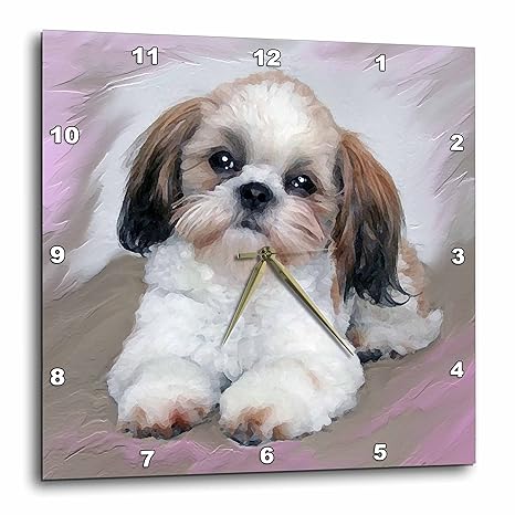 Buy 3drose Dpp 4807 2 Shih Tzu Puppy Wall Clock 13 By 13 Inch