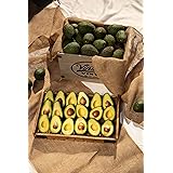 12 to 16 California Organic Hass Avocados from ACE Ranch, Fresh Avocados, 100% Certified Organic California Hass Avocados, Pr