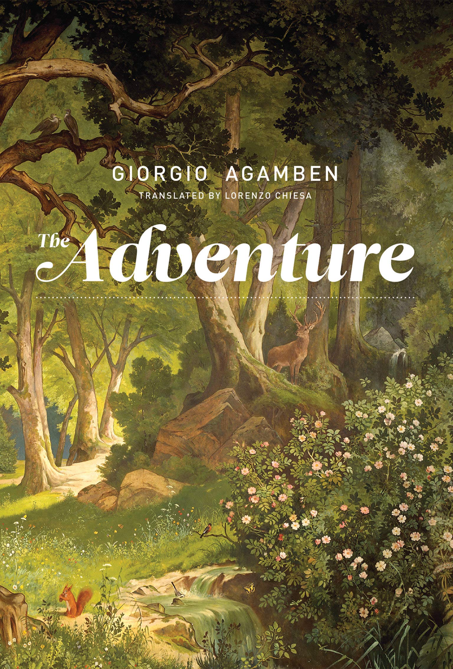 The Adventure The Mit Press Agamben Giorgio Chiesa Lorenzo Amazon Com Books