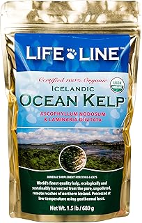 best kelp supplement for dogs