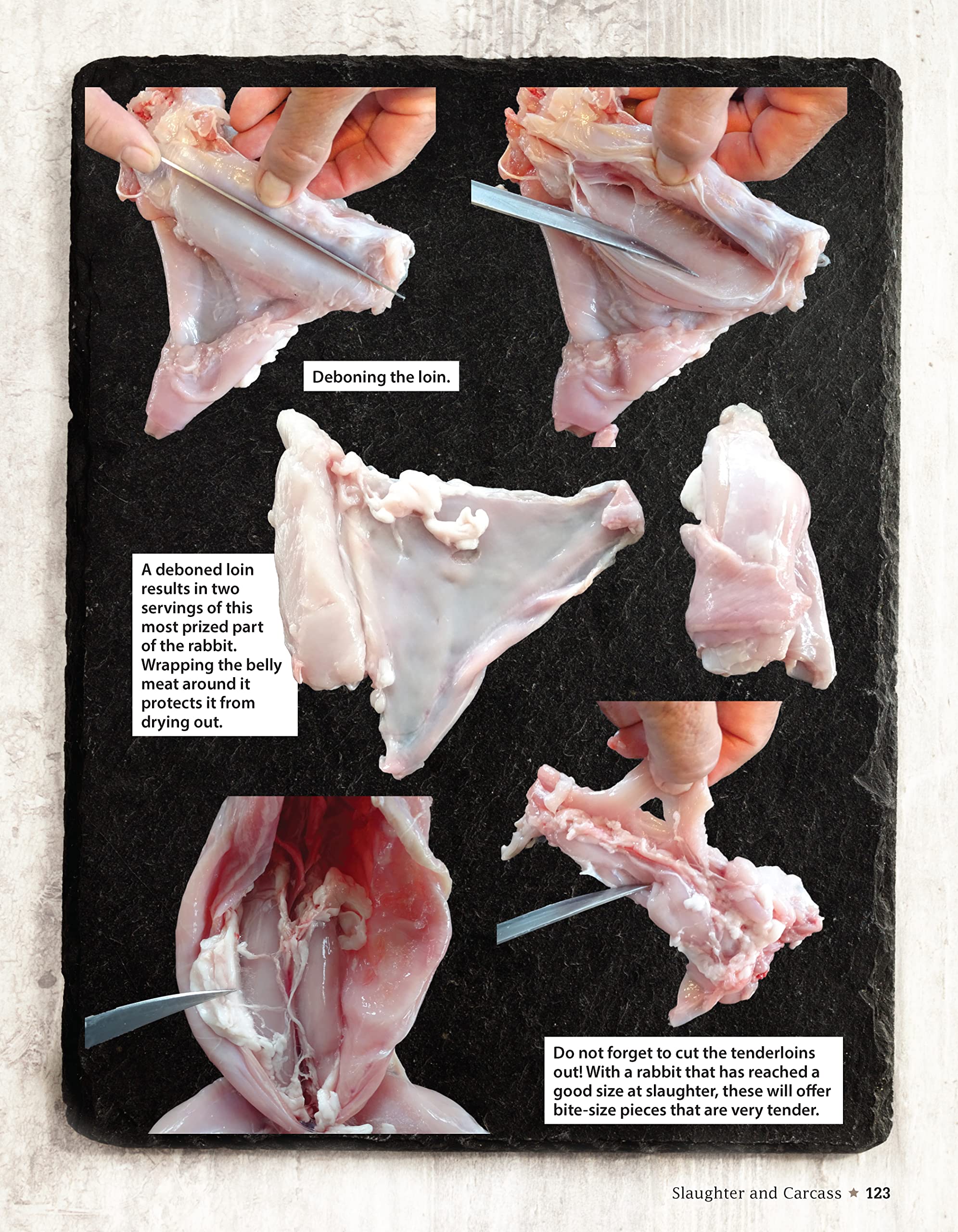A Practical Guide to Rabbit Ranching: Raising Rabbits for Meat and Profit (CompanionHouse Books) Farming Meat Rabbits, Care, Housing, Feeding, Breeding, Growing, Disease Management, Costs, and More