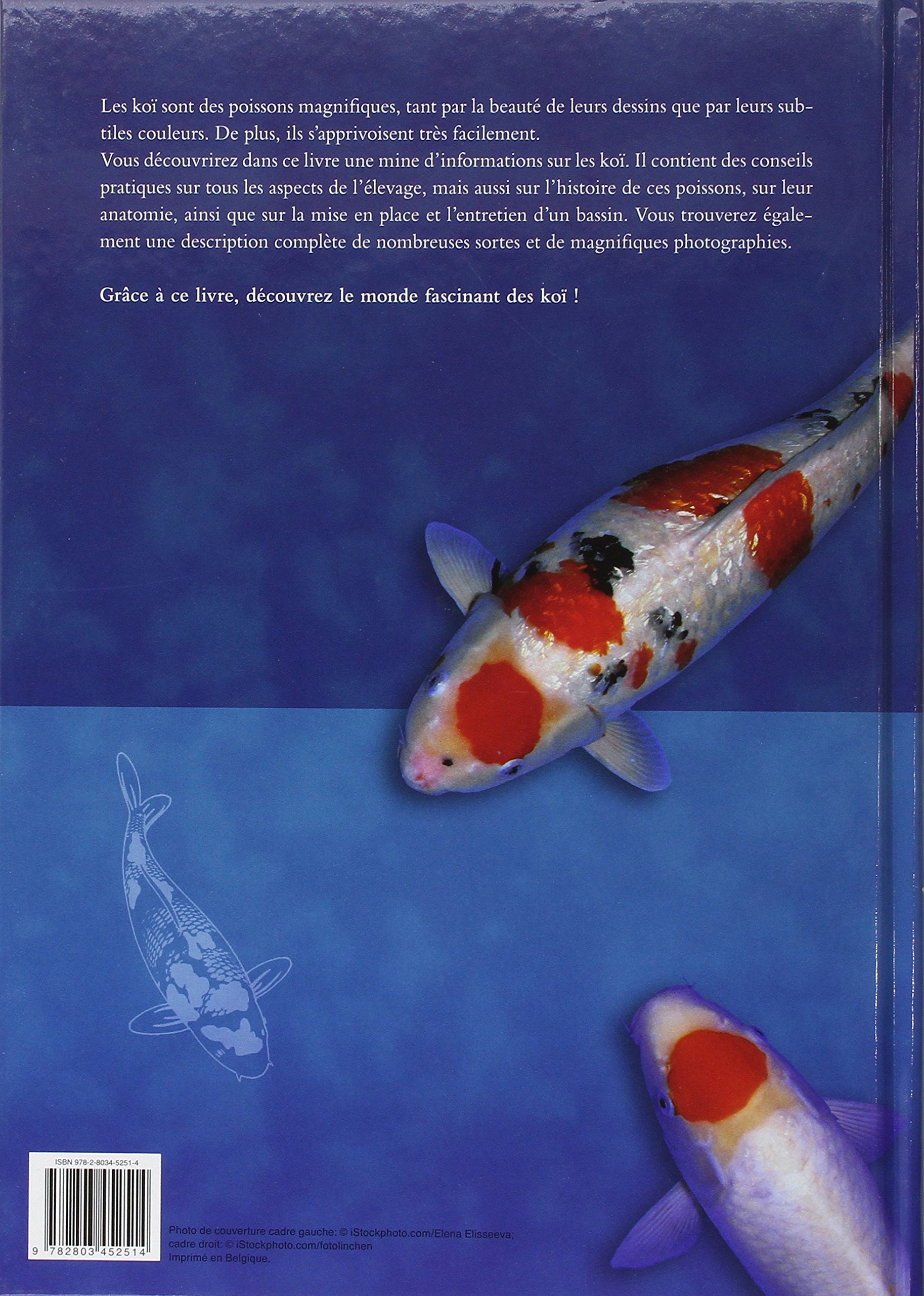 Grand Manuel Koi 9782803452514 Amazon Com Books