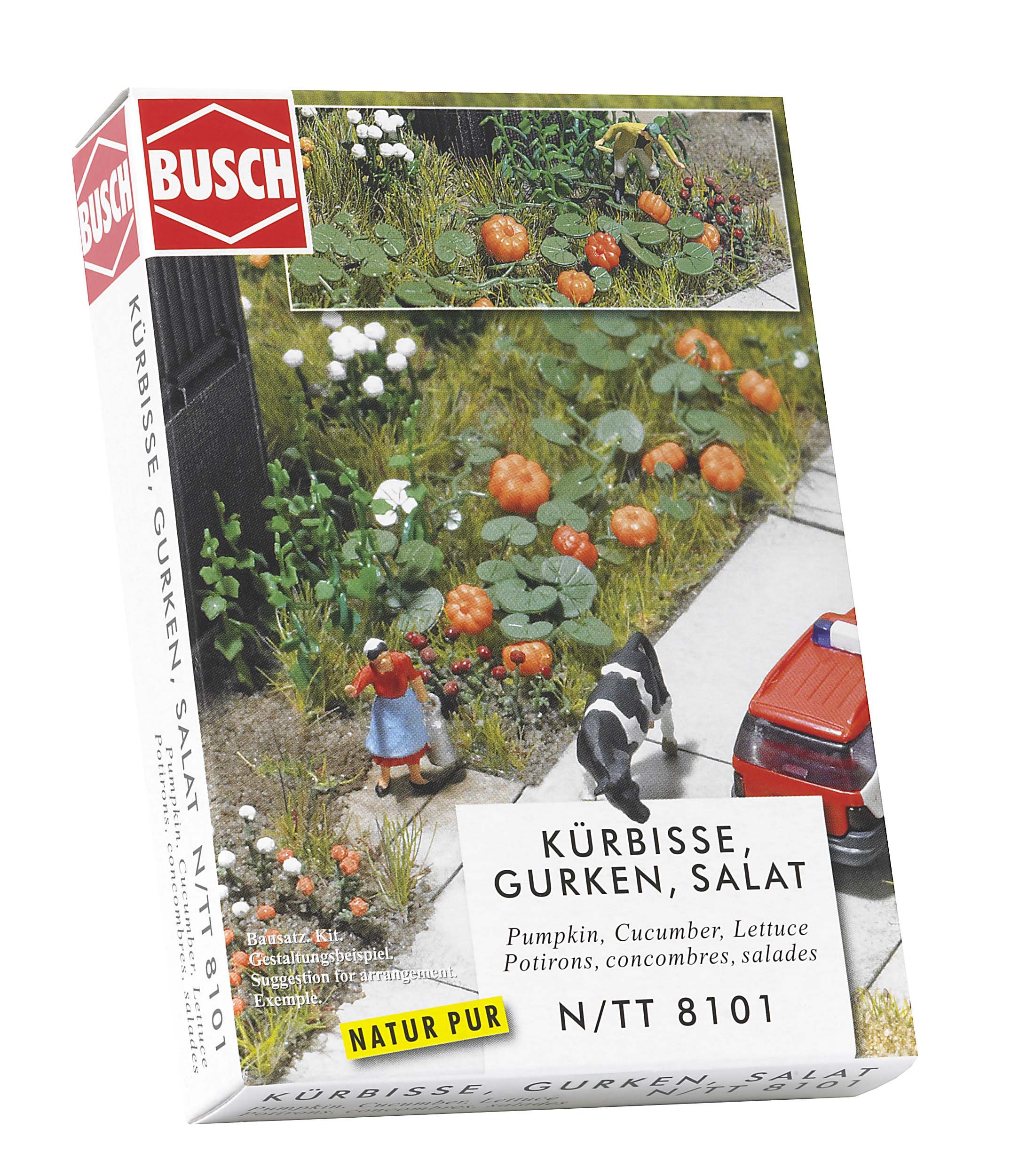 Pumpkin Cucumber & Lettuce