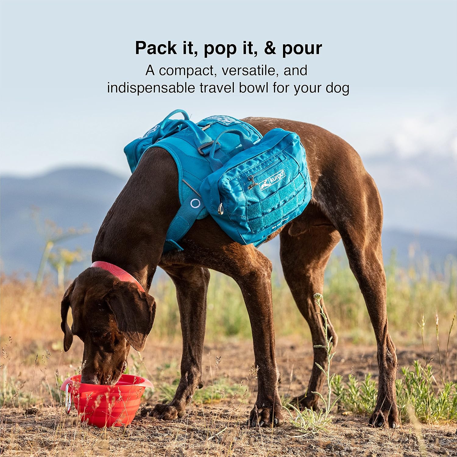 Kurgo Collaps-A-Bowl for Dogs, Collapsible Travel Dog Bowl for Outdoor Adventures, Food-Grade Silicone - Image 4