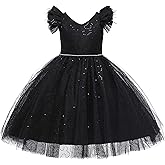 Weileenice Little/Big Girl Party Dress Tulle Girls Wedding Pageant Gown Kids Vintage Prom Holiday Tutu Dresses