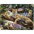 3D LiveLife Magnet - Treetop Leopards from Deluxebase. Lenticular 3D Leopard Fridge Magnet. Magnetic Decor for Kids and Adults with Artwork Licensed from Renowned Artist, Jan Patrik KRA