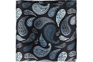 MANSPHIL Paisley Silk Pocket Square for Men, Suit Handkerchief for Tux Wedding Prom