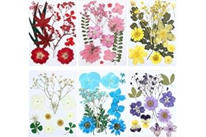eBoot 72 Pcs Dried Pressed Flowers for Resin Molds Real Pressed Flowers Dry Leaves Bulk Natural Herbs Kit for Scrapbooking DIY Art Crafts Jewelry Molds Candle Soap Making Nails Decor(Elegant Style)