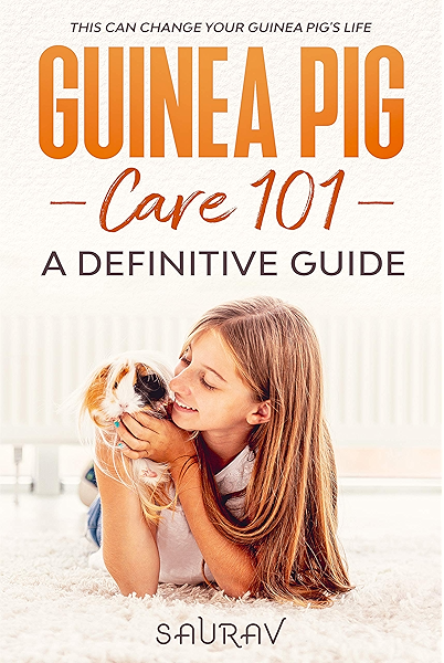 guinea pig 101 care