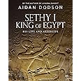 Sethy I, King of Egypt: His Life and Afterlife (Lives and Afterlives)