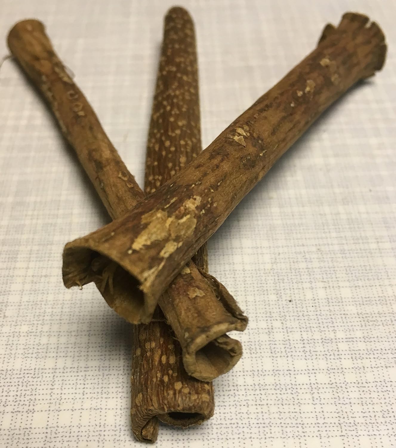For Sale 3 Nano 1 Cm Diameter X 12 Cm Catappa Barks Cave Tube Sea Almond Tree Bark Cave Tube Pet Supplies Hottest New Styles Gestan Co Za