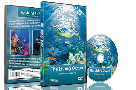 Unterwasser DVD-Der lebende Ozean: Eine Unterwasser-Reise