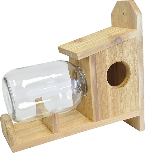 Amazon Com Backyard Boys Woodworking Bbw8 Squirrel Under Glass
