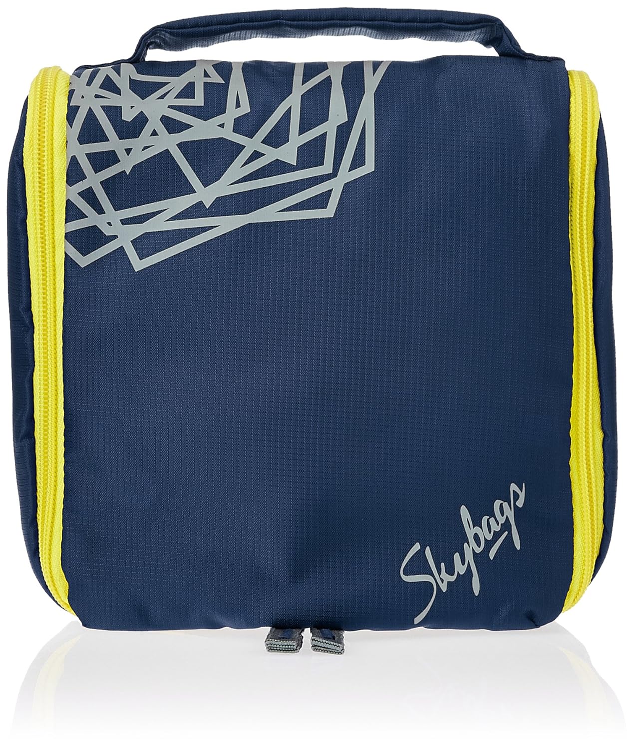 skybags toiletry bag