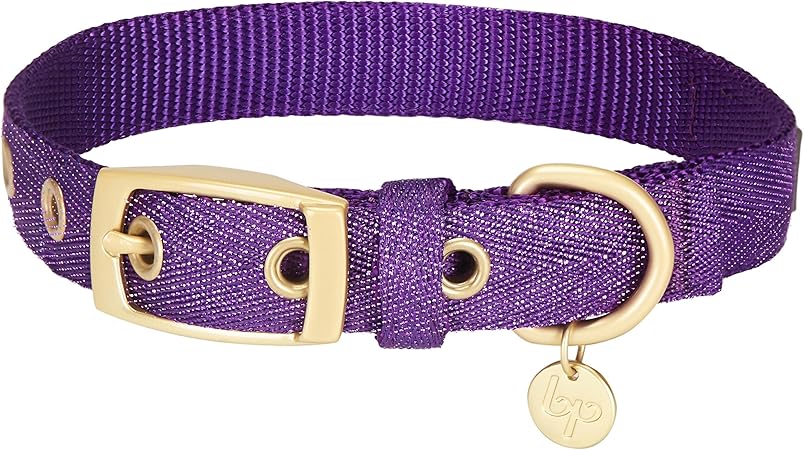 blueberry pet collars amazon