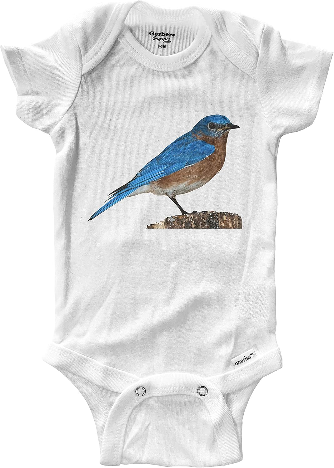 beautiful baby clothes