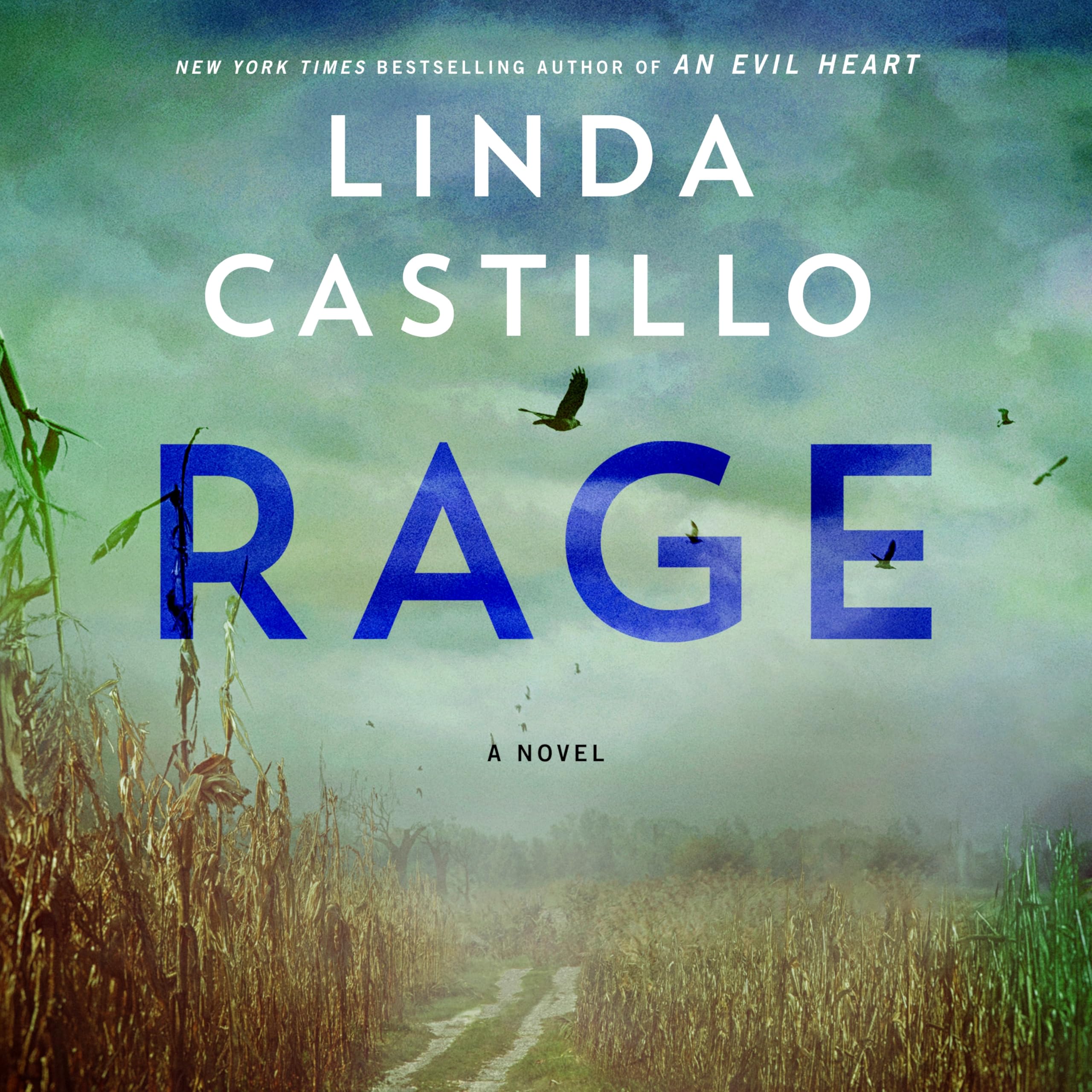 Rage: A Novel (Kate Burkholder, 17) Image