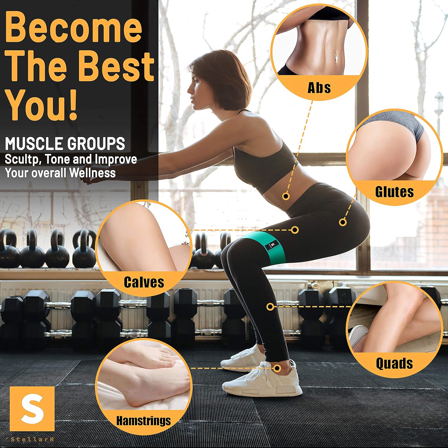 STELLARH Core Workout Home Gym Set! Full Body Workout Home Exercise Equipment with Ab Roller Wheel, 5lb Dumbbells Set of 2 Free Weights, Booty Band Fabric Resistance Bands and Jump Rope for Fitness : Sports & Outdoors