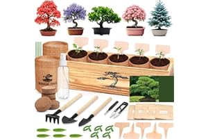 BUGGYBEDS 5 Pack Bonsai Tree Kit - 5 Seeds Growing Plant Bonsai Tree Live Kit for Beginners, Easy to Grow Complete Indoor Garden Starter Kits with Wooden Box & Tools, Christmas Gifts for Men Women Plant Lover