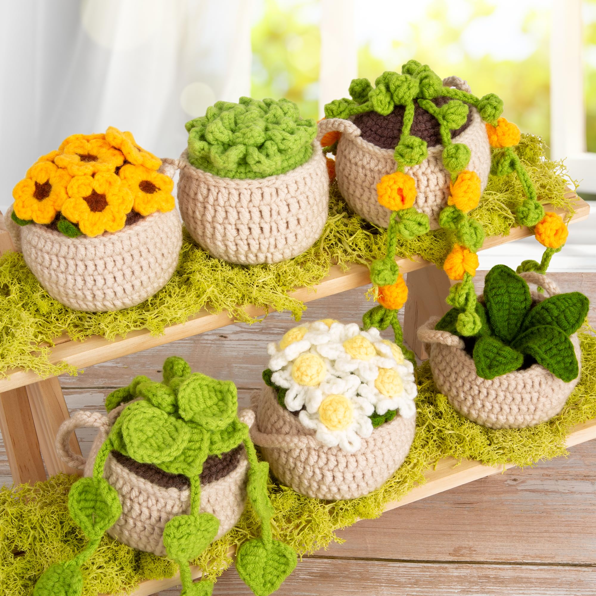 Karsspor Crochet Kit for Beginners, Crocheting Kit- 6 PCS Hanging Potted Plants Crochet, Beginner Crochet Kit for Adults and Lovers, Knitting Kit with Step-by-Step Video Tutorial and Instructions