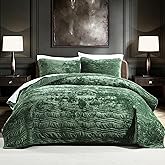 AJOCCI Luxury Velvet Queen Comforter Set, Green Queen Size Comforter Sets, Emerald Green Queen Quilt Bedding Set, Luxurious Plush Bedspreaqd Sets,Soft Lightweight Bedding for All Season