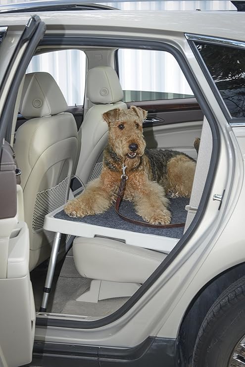 dog crate for car backseat
