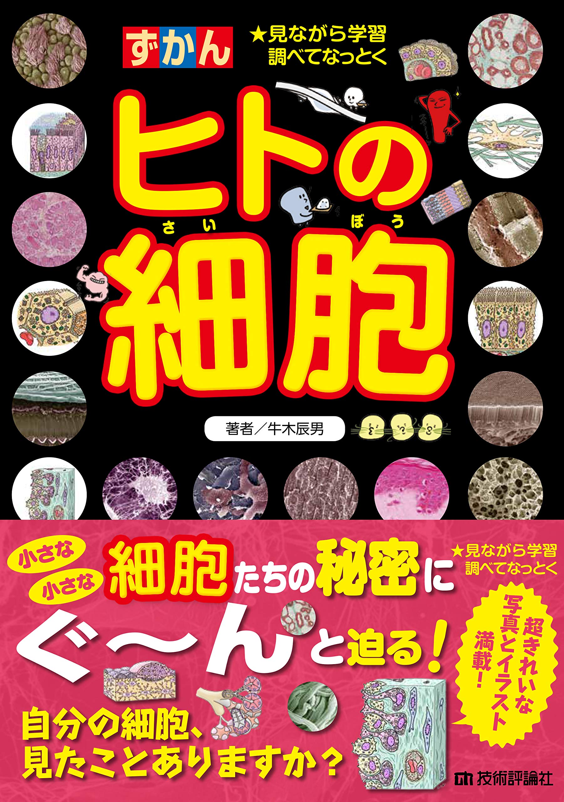 Amazon Co Jp ヒトの細胞 ずかん 牛木 辰男 本