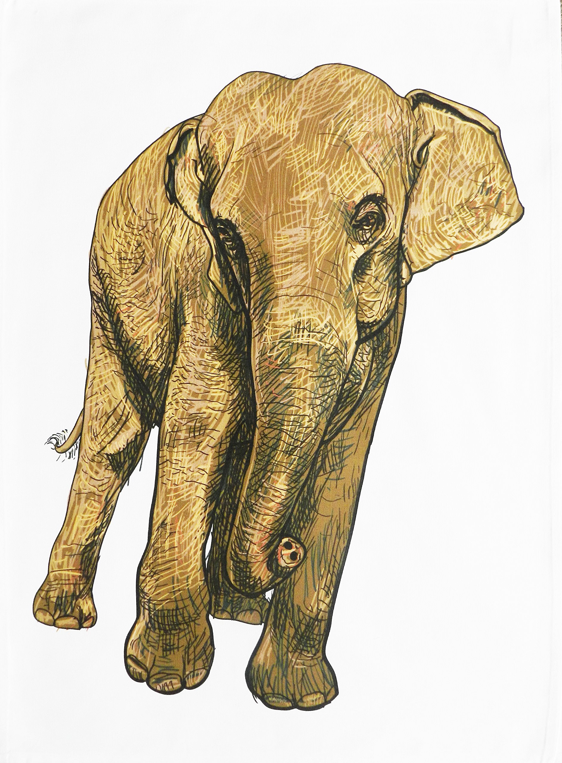 Half a Donkey The handdrawn Elephant - Large Cotton Tea Towel