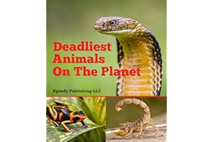Deadliest Animals On The Planet: Deadly Wildlife Animals